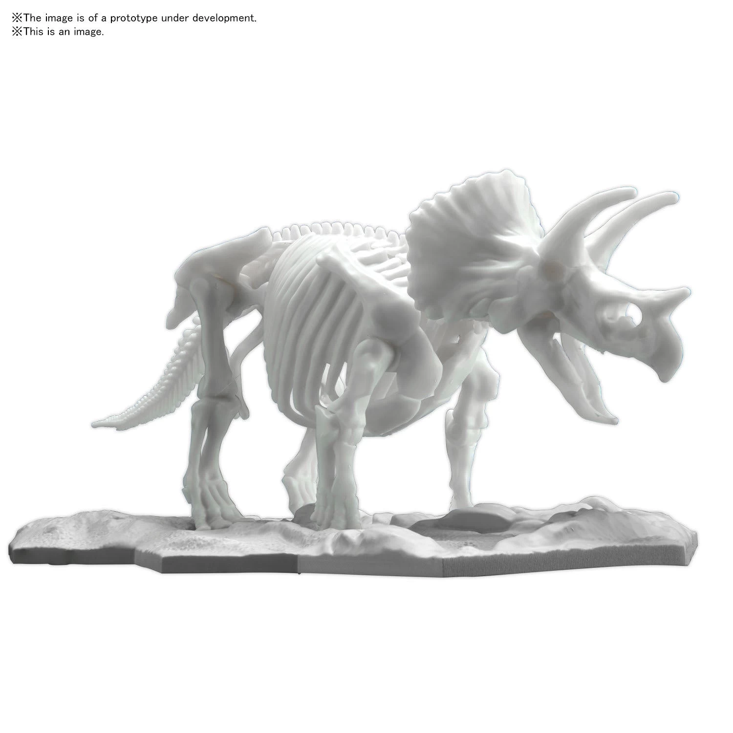 Bandai DINOSAUR MODEL KIT LIMEX SKELETON Triceratops - Image 2