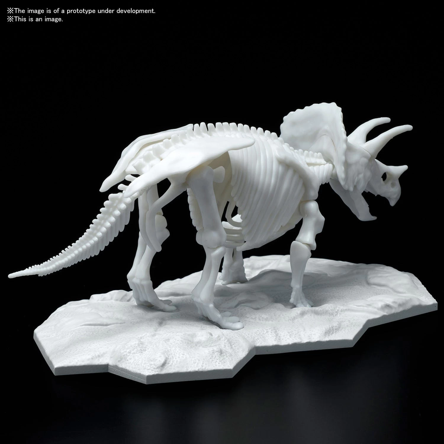 Bandai DINOSAUR MODEL KIT LIMEX SKELETON Triceratops - Image 5