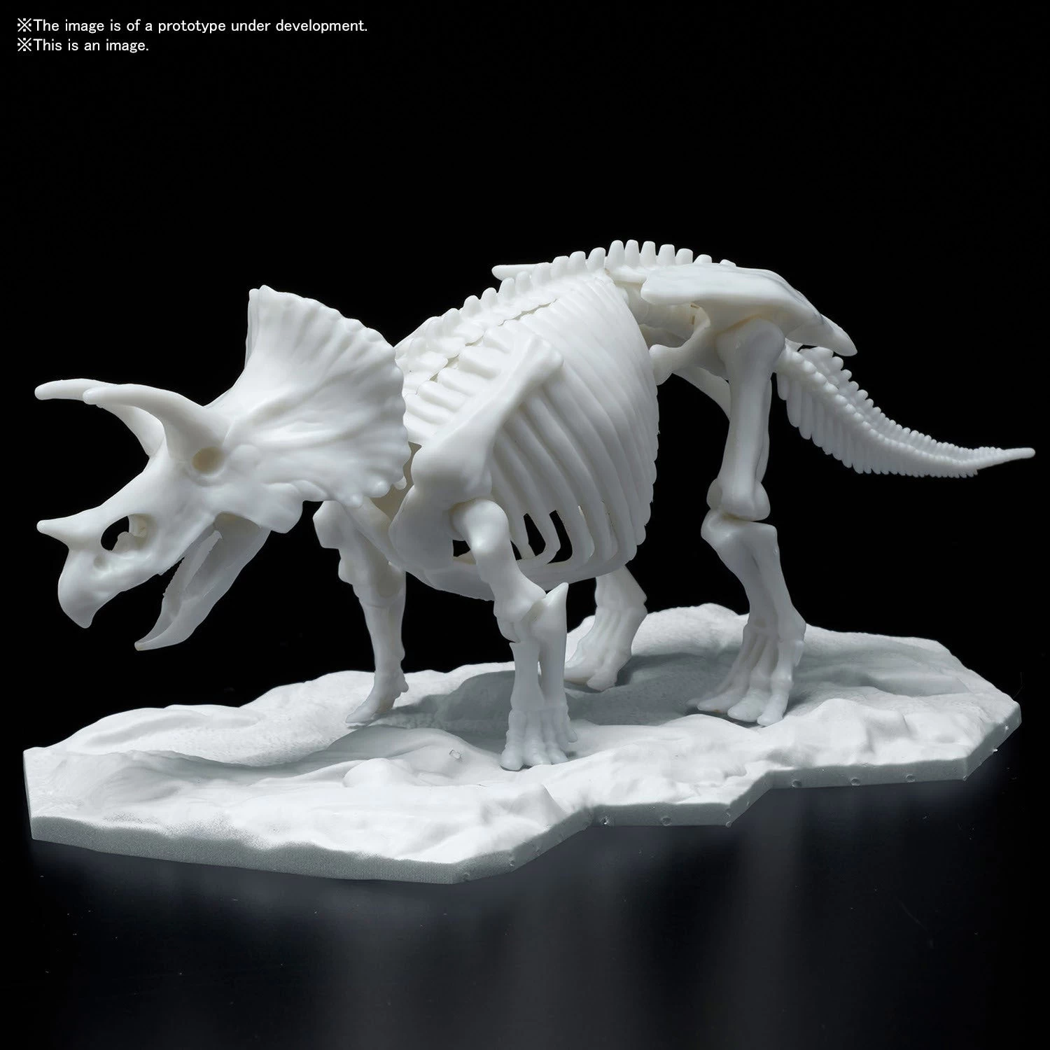 Bandai DINOSAUR MODEL KIT LIMEX SKELETON Triceratops - Image 4
