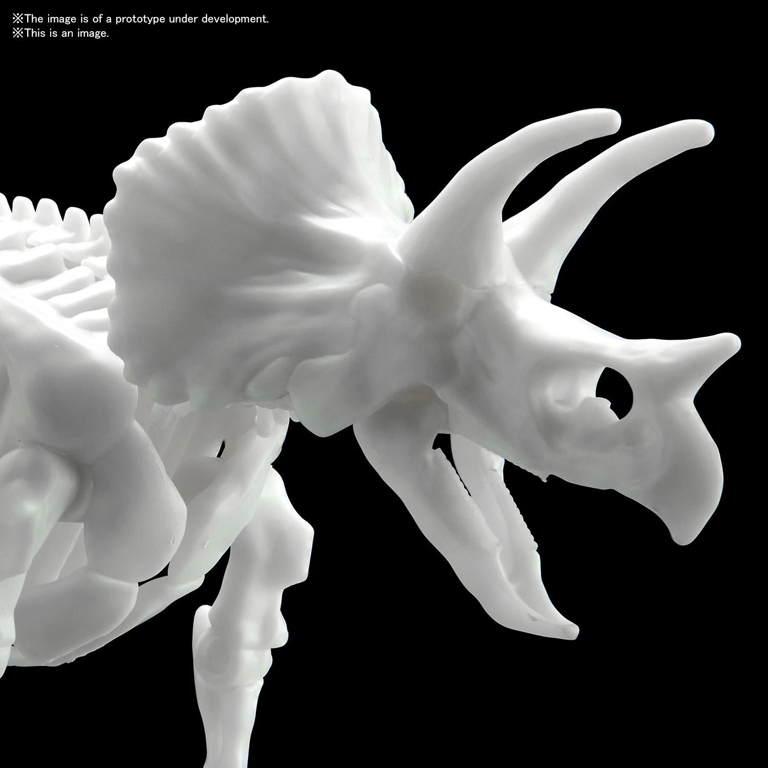 Bandai DINOSAUR MODEL KIT LIMEX SKELETON Triceratops - Image 3