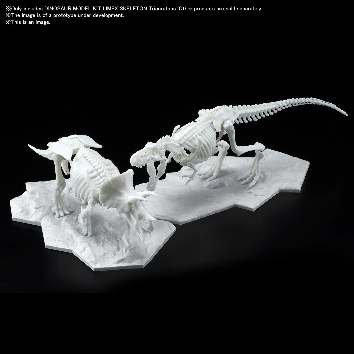 Bandai DINOSAUR MODEL KIT LIMEX SKELETON Triceratops - Image 7