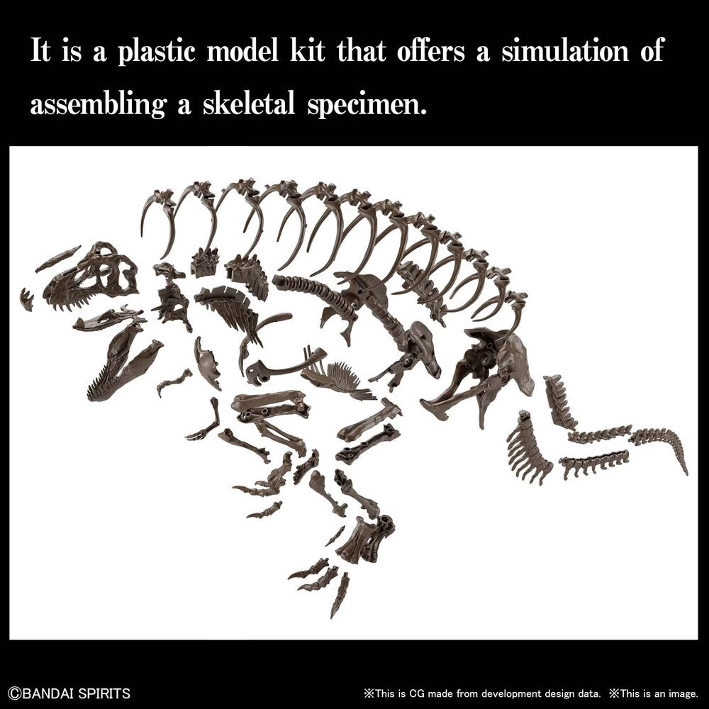 Bandai 1/32 Imaginary Skeleton Tyrannosaurus - Image 7